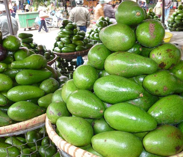 Avocado in Dalat day market