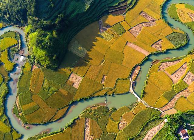 Paddy fields in Cao Bang