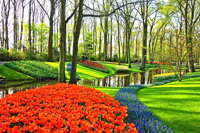 Vườn hoa Keukenhof Hà Lan vào tháng 5